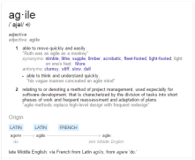 Dictionary Meaning of Agile